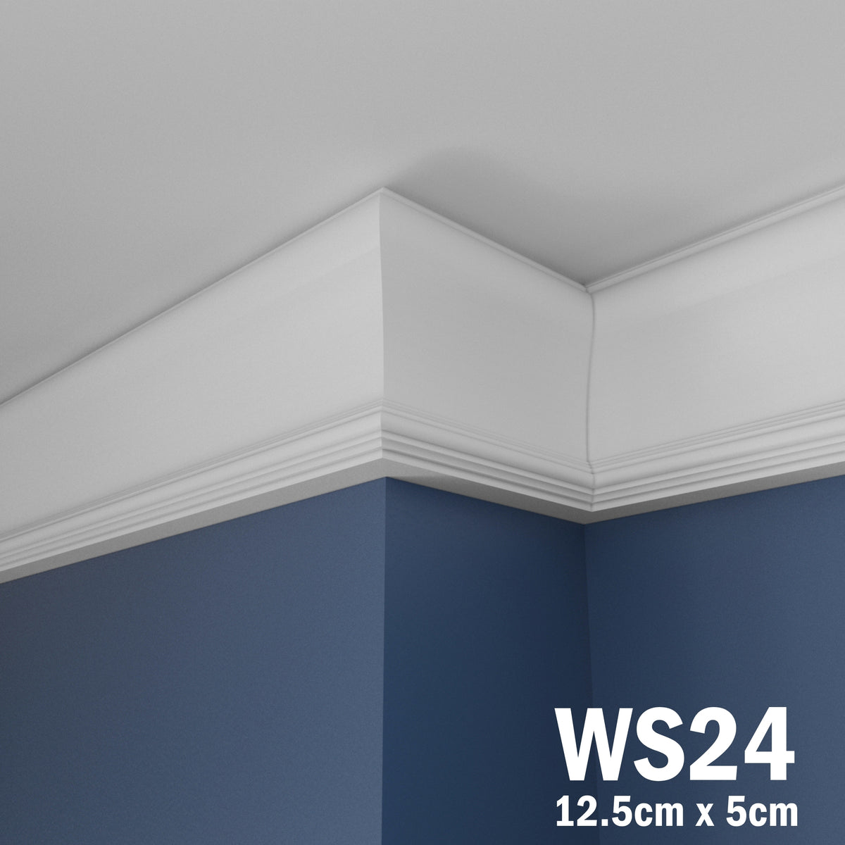 Coving for Ceilings Cornice XPS Extruded Polystyrene WS24